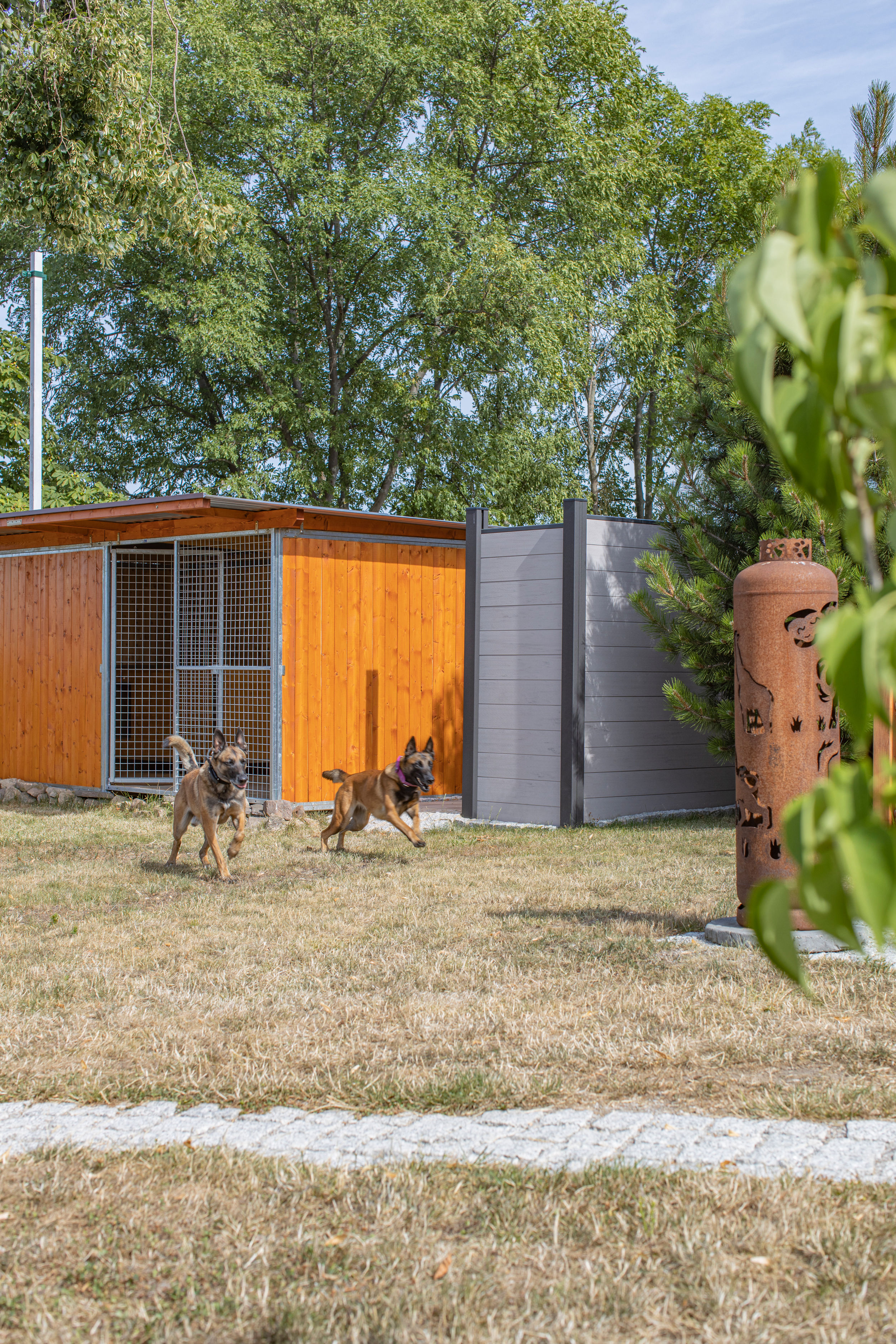 Ferienwohnung-Hund-Urlaub