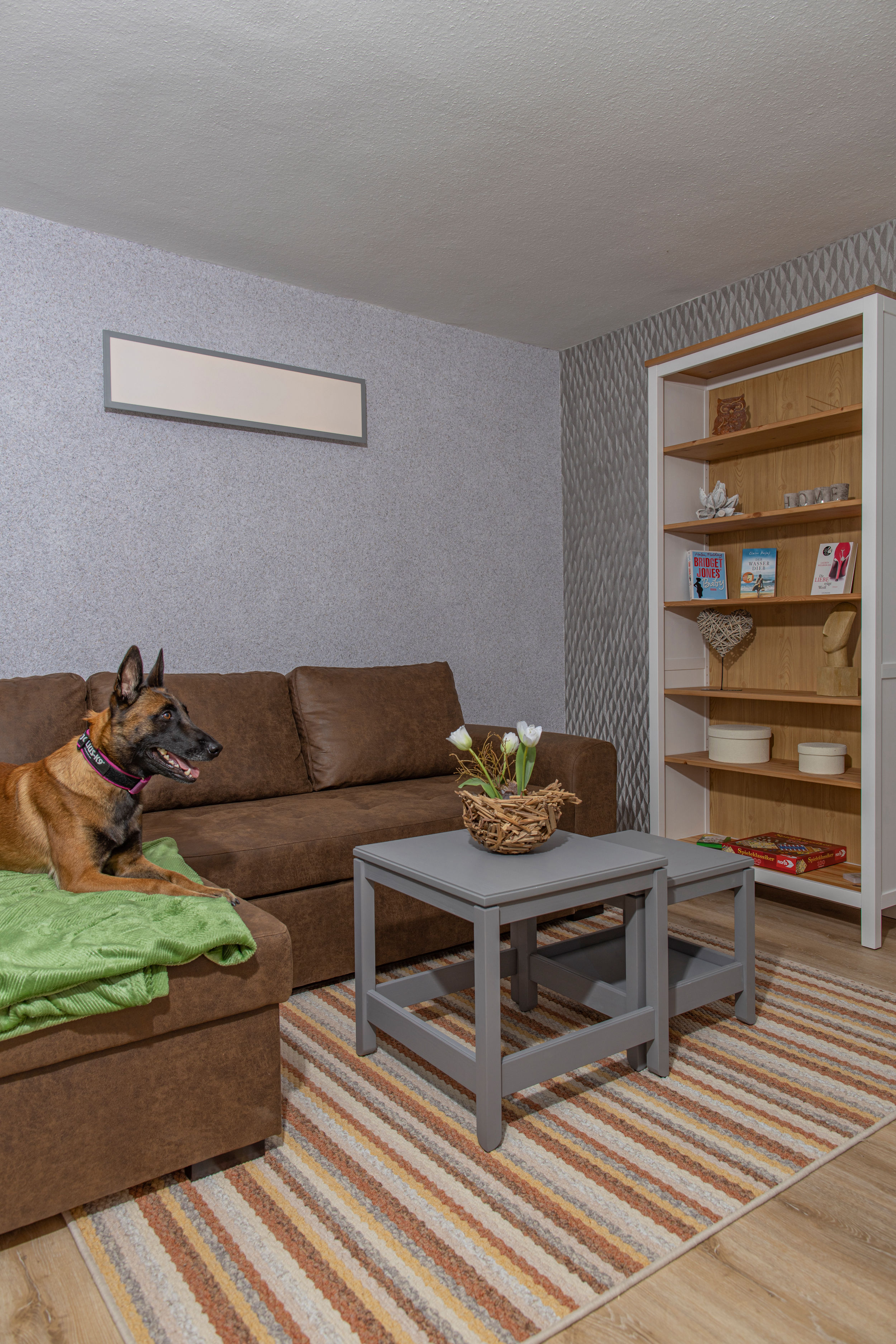 Ferienwohnung-Hund-Urlaub